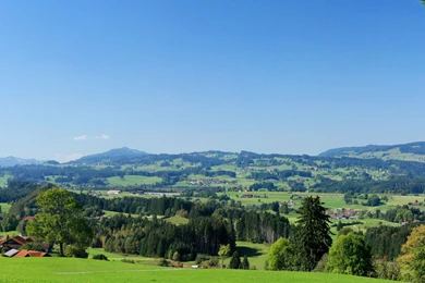 Screen Wallpapers : Warez Forum