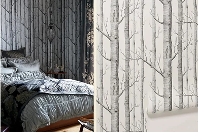 The Trees That Grew On Me