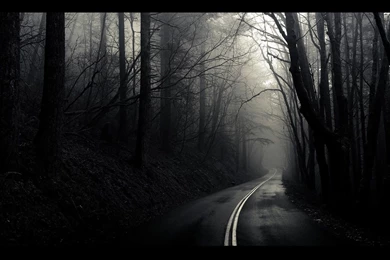 Black And White Landscapes Trees Fog Mist The Mist Roads ...