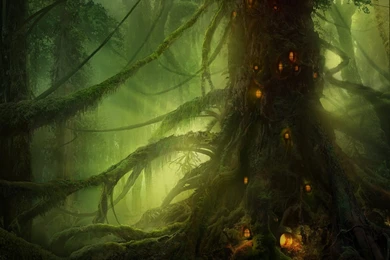 Image Gallery: Elves (Dec 12 2012 22:39:50)