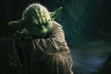 Yoda Wallpapers   Wallpaper.