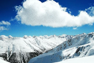 Computer Desktop Wallpapers Free Download   5 Items