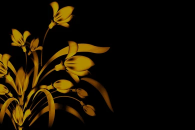 Fire Flower Wallpapers   Wallpapers Cave