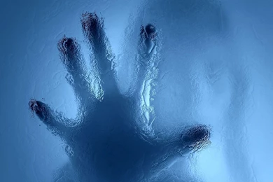 Live Wallpapers Windows 7   1719631