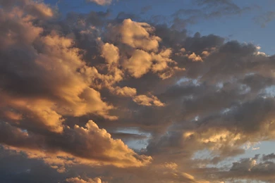 Windows 7 Wallpapers (1)