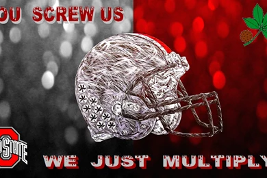 YOU SCREW US, WE JUST MULTIPLY   Ohio State Football Wallpapers ...
