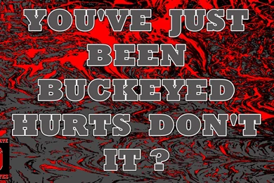 OHIO STATE BUCKEYES College Football (10) Wallpapers