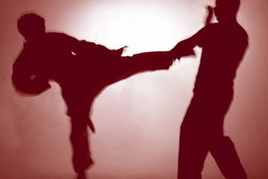 Martial Arts Wallpapers Free Download Wallpapers   Free Martial ...