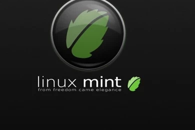 Download Wallpapers 540x960 Linux, Linux Mint, Gnu, Logo, Texture ...