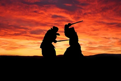 Martial Arts Live Wallpapers   Android Apps And Tests   AndroidPIT