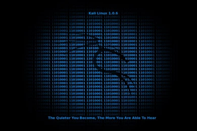 Kali Linux Wallpapers – The Linux Terminal – Linux Tutorials ...