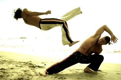 Collection Of Some Best Martial Arts Wallpapers   All HD Wallpapers