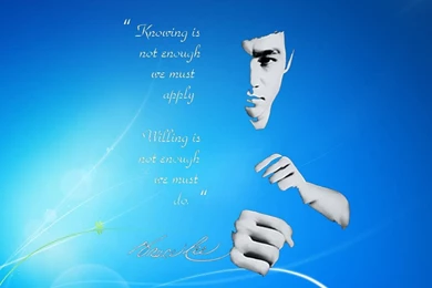 Bruce Lee Wallpapers   Martial Arts Wallpapers