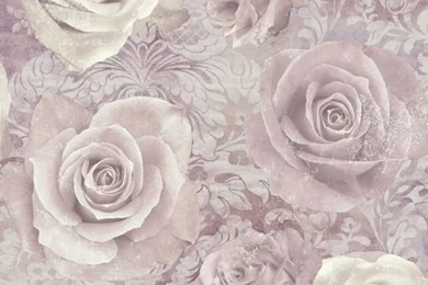 Wallpapers On Pinterest