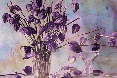 Simply Mauve Wallpapers   (