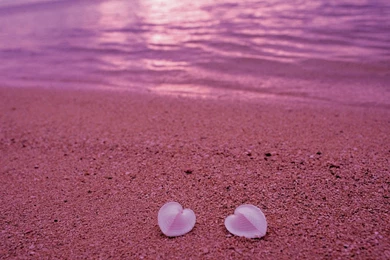 Love Wallpaper Backgrounds