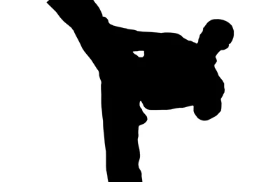 Sports Martial Arts Wallpapers   ClipArt Best   ClipArt Best