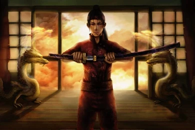 Japanese martial arts wallpaper picture.jpg