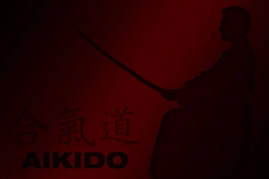 54 Martial Arts HD Wallpapers