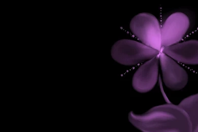 Free Cool Wallpapers: Mauve Wallpapers