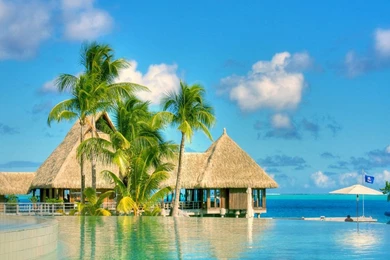 Summer Wallpapers HD Download Backgrounds • IPhones Wallpapers