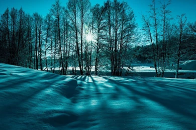 Fantastic Winter Scene In Monochrme HD Desktop Backgrounds