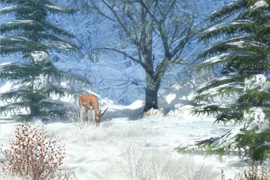 Free Animated Winter Desktop Wallpapers