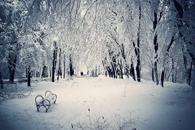 Winter Snow Scenes Wallpapers 2015   Grasscloth Wallpapers