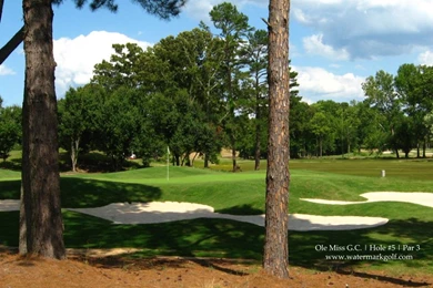 Computer desktop background pictures 7.jpg