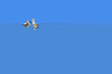 That Was Boring Re Rolling