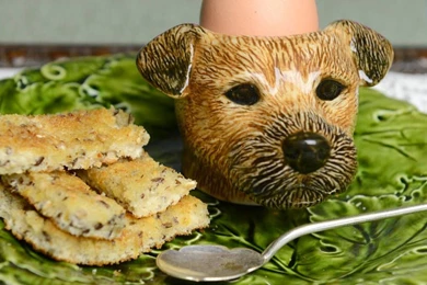Border Terrier Egg Cup By Home & Glory