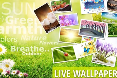 Spring Time HD Android Live Wallpapers