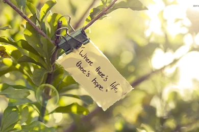 There's Hope Wallpapers   Typography Wallpapers