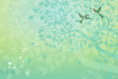 Happy, Hope y Wallpapers   Gaiam Blog