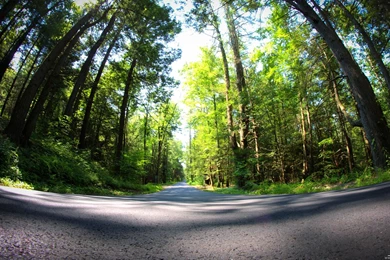 Long Road 7 24 2012 Wallpapers