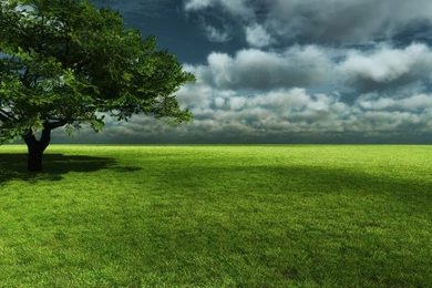 Beautiful Backgrounds Wallpapers Hd (2)