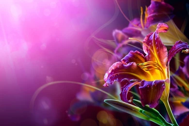 Hd abstract wallpaper.jpg