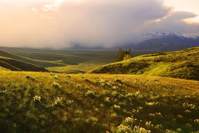 Landscapes Nature Wallpapers