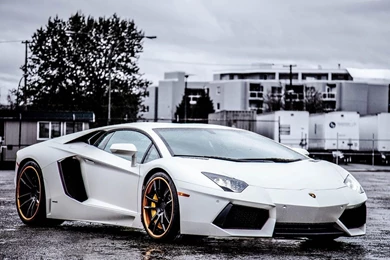 Lamborghini Aventador White Colour Wallpapers H