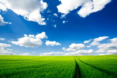 Top Wallpapers   Wallpapers Cave