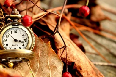 Photography wallpaper hd