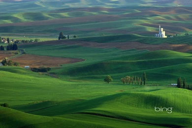 Bing Bing Wallpapers 22553   Desktop Wallpapers   System Wallpapers