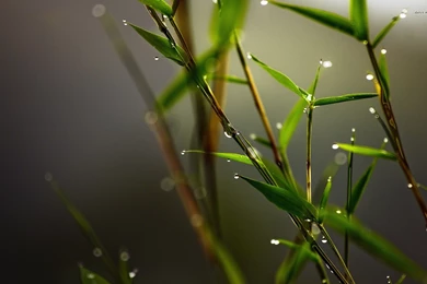 Photography Wallpapers Hd ~ Wallpapers