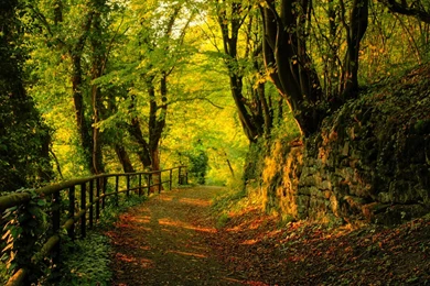 Nature Photography Wallpapers Hd