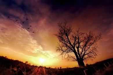 44 Morning Mist Wallpapers HD Photos Collections   Yoanu.com