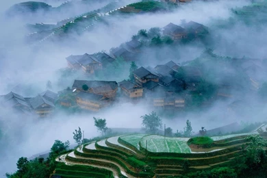 Longsheng Rice Terraces, Guangxi, China (© Redlink/Corbis) © (Bing ...