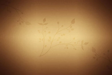 Cafe Menu Backgrounds   1609732