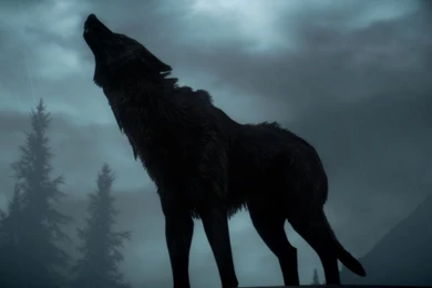 Scrolls V: Skyrim Clouds Video Games Wolves Wallpapers ...