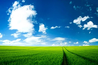 Summer Wallpapers V By SvenMueller On DeviantArt