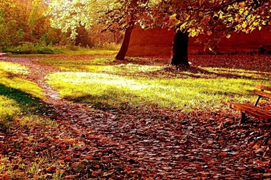 Good Morning The Wallpapers Free Download